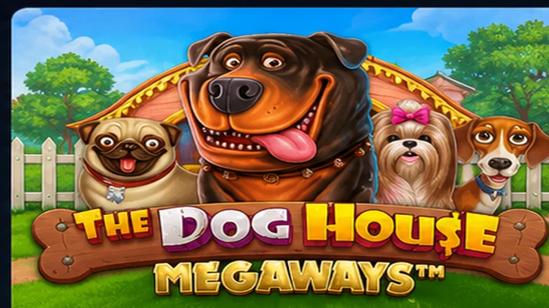 Dog House Megaways at Zoccer Casino Australia